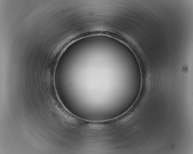 X0000112460825200908241256