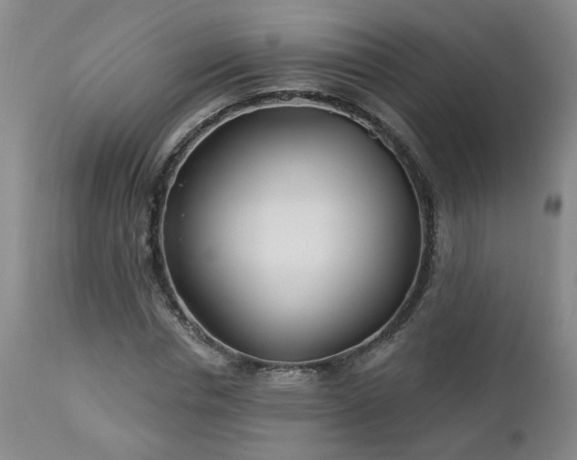 X0000112460826200908241256