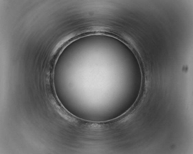 X0000112460827200908241256