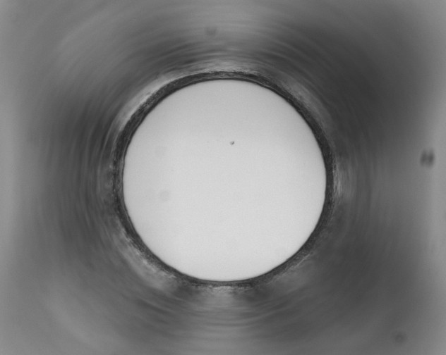 X0000112460828200908241257