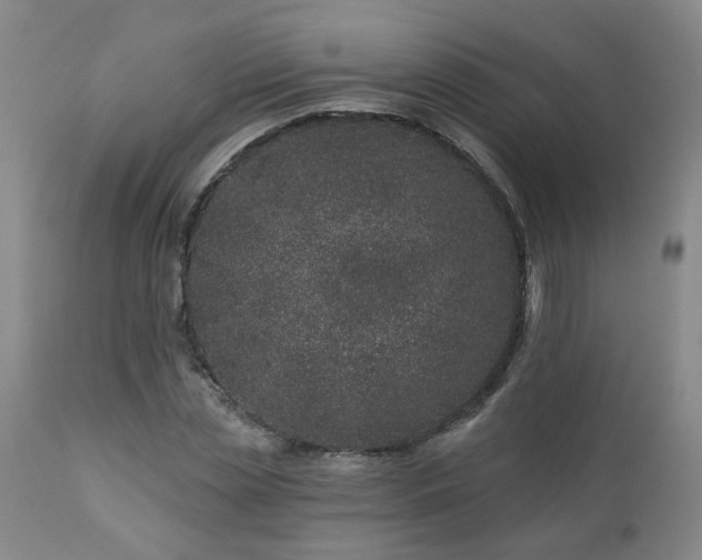 X0000112460829200908241257