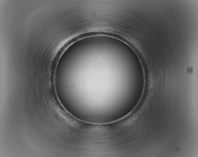 X0000112460830200908241257