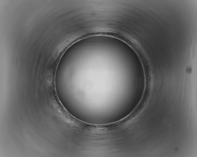 X0000112460833200908241257