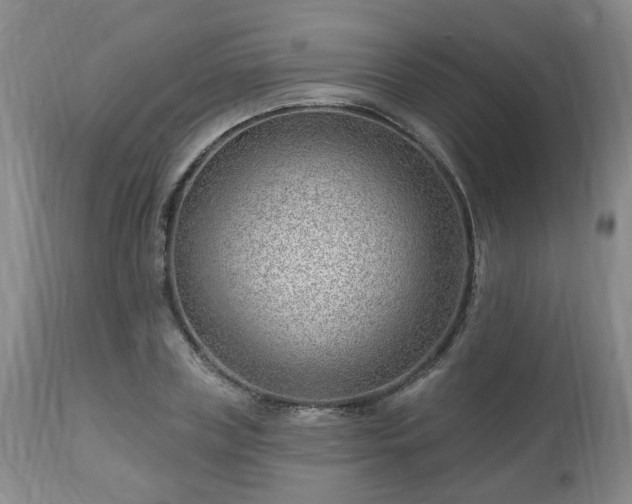 X0000112460835200908241257