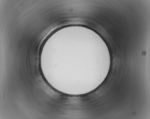 X0000112460836200908241257