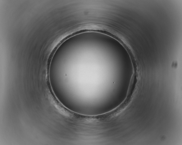 X0000112460837200908241257