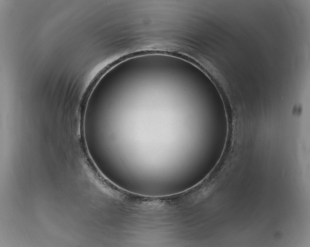 X0000112460838200908241257