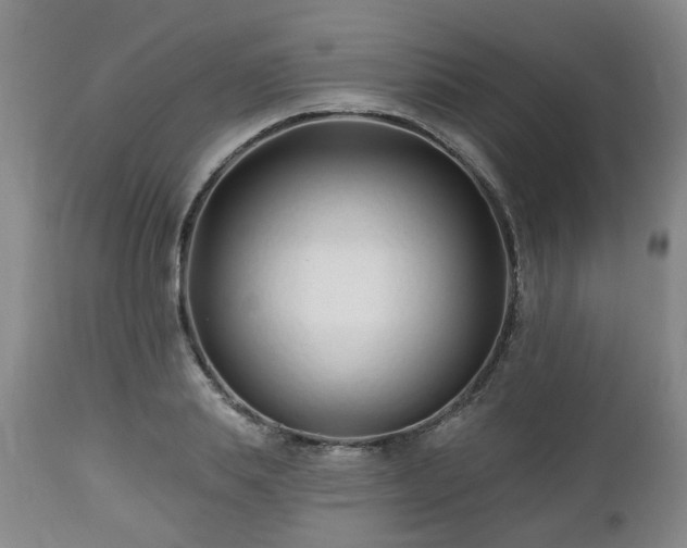 X0000112460839200908241257