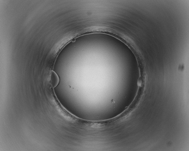 X0000112460841200908241257