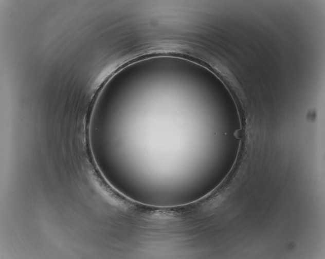 X0000112460842200908241257