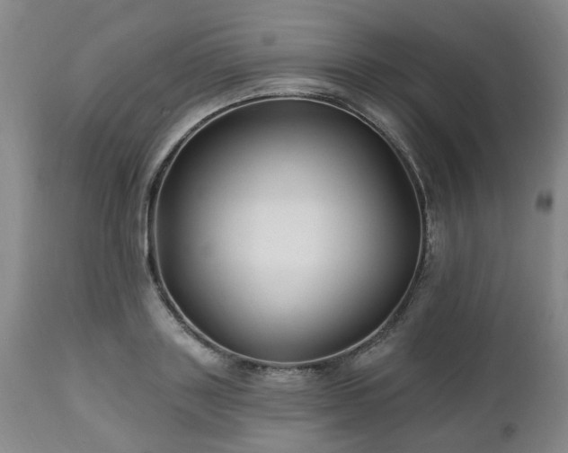 X0000112460843200908241257