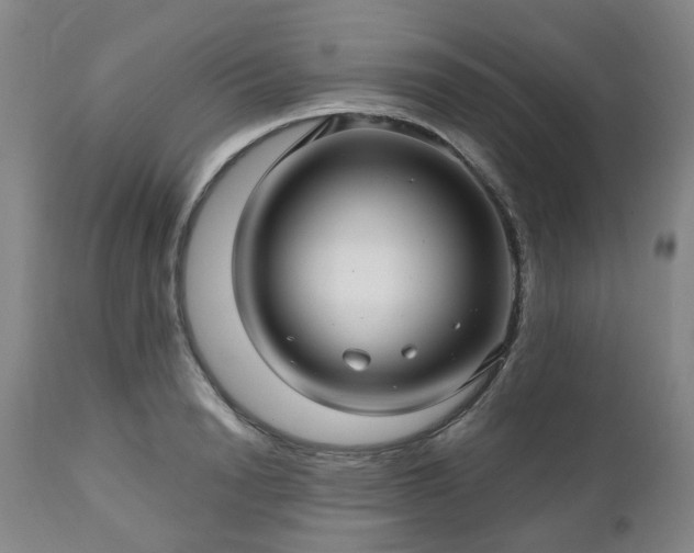 X0000112460846200908241257