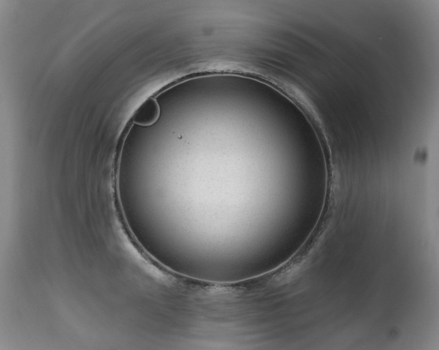 X0000112460847200908241257