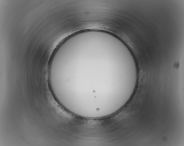 X0000112460848200908241257