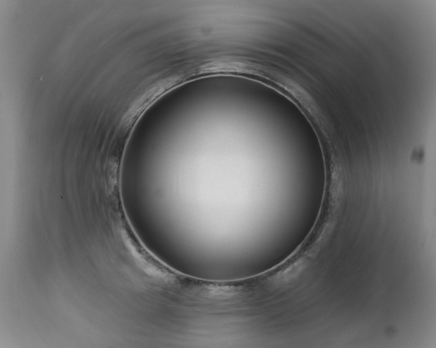 X0000112460849200908241257