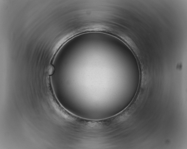 X0000112460850200908241257