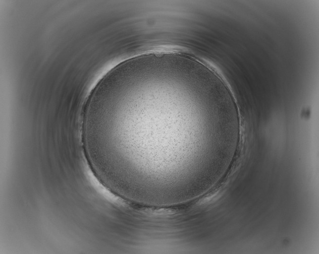 X0000112460851200908241257