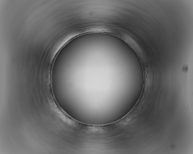 X0000112460852200908241257