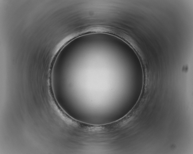 X0000112460853200908241257