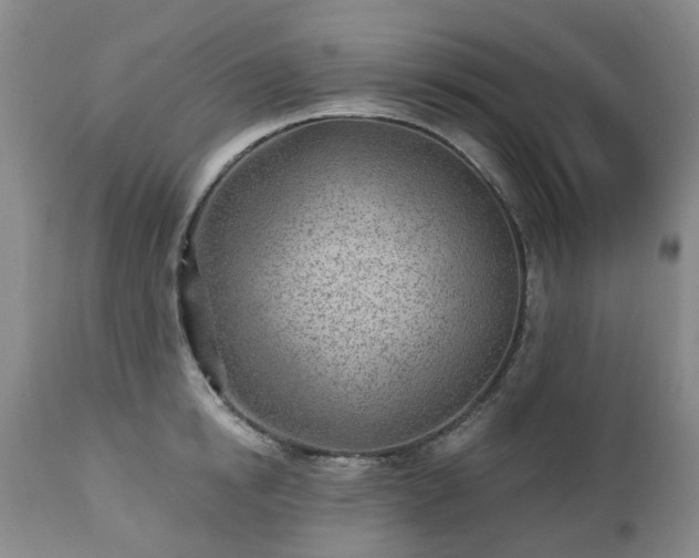 X0000112460854200908241257