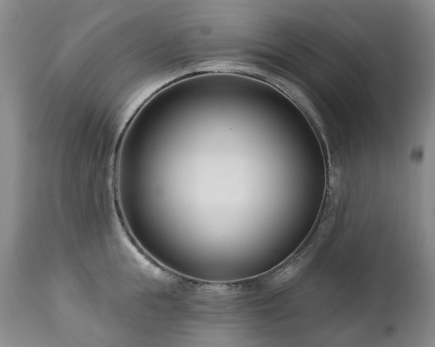 X0000112460855200908241257