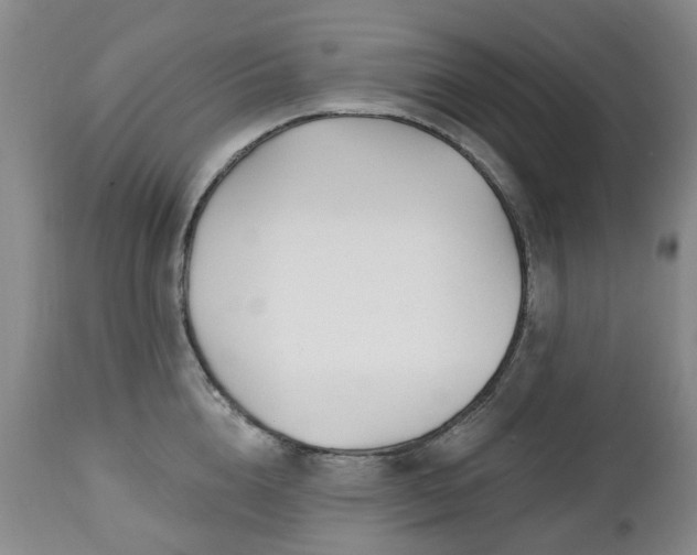 X0000112460856200908241257