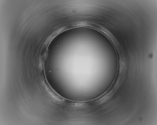 X0000112460857200908241257