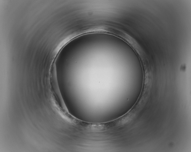 X0000112460858200908241257