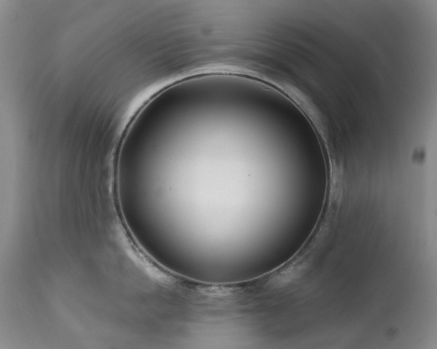 X0000112460862200908241257