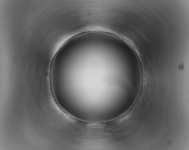 X0000112460863200908241257