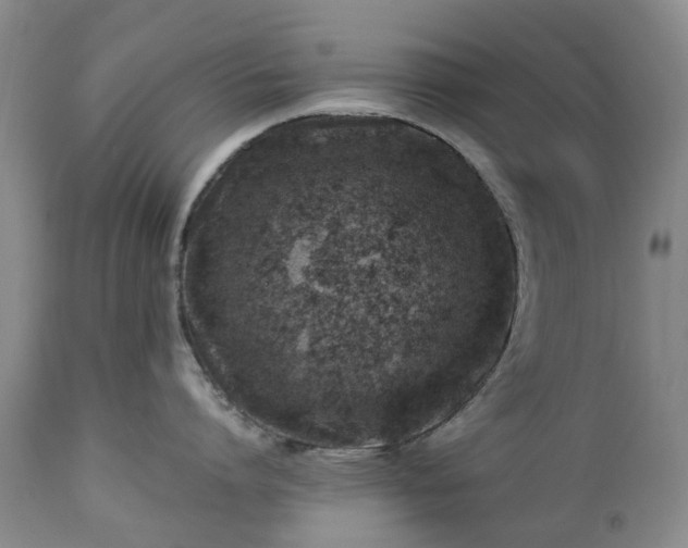 X0000112460864200908241257