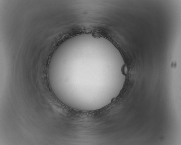 X0000112460865200908241256