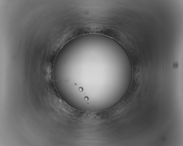 X0000112460866200908241256