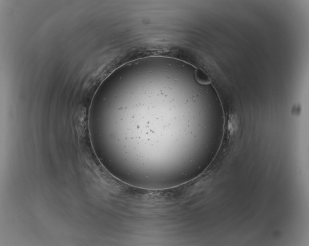 X0000112460867200908241256