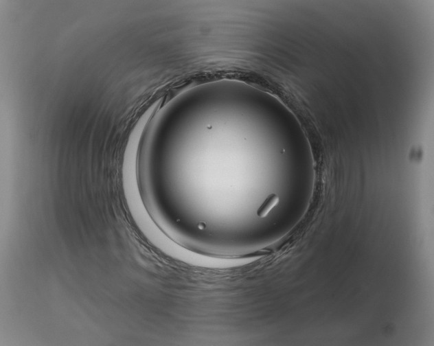 X0000112460868200908241256