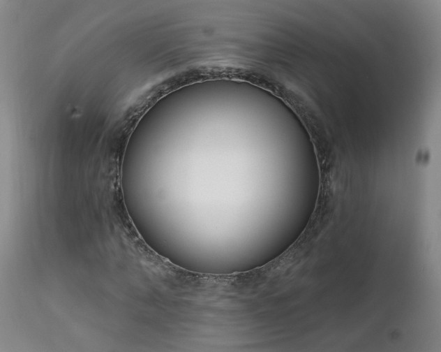 X0000112460870200908241256