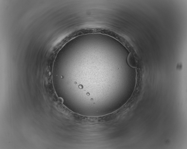 X0000112460871200908241256