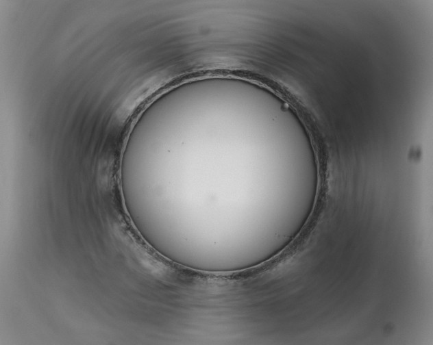 X0000112460873200908241256