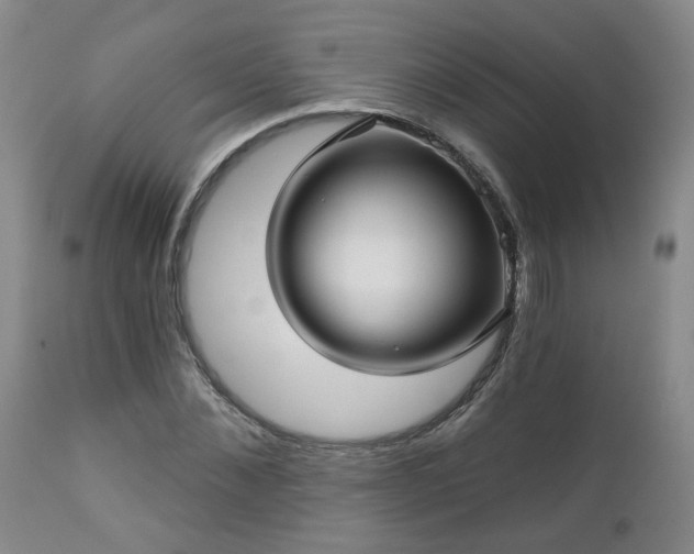 X0000112460876200908241256