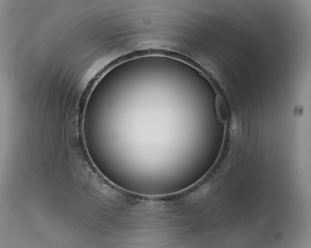 X0000112460877200908241256