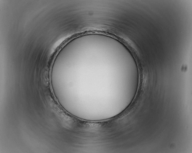 X0000112460878200908241256