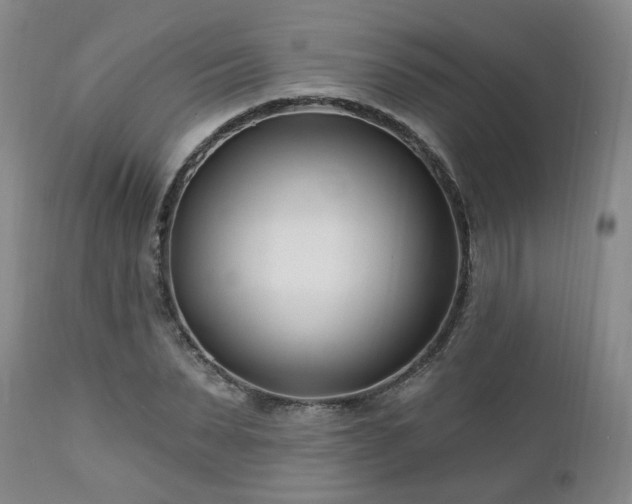 X0000112460879200908241256