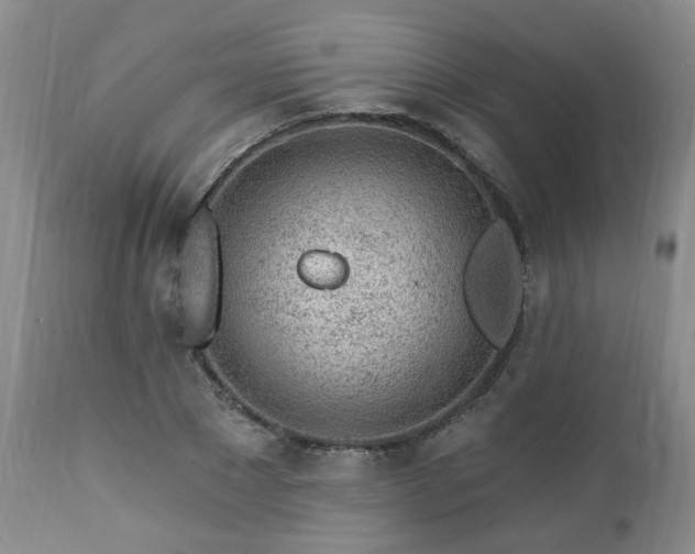 X0000112460881200908241256