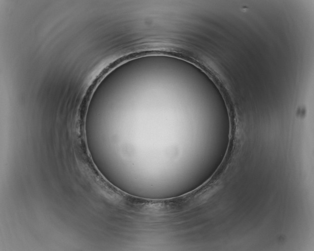 X0000112460883200908241256