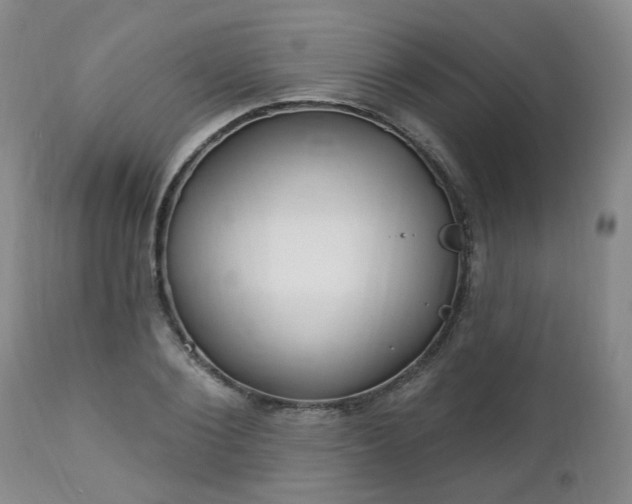 X0000112460884200908241256