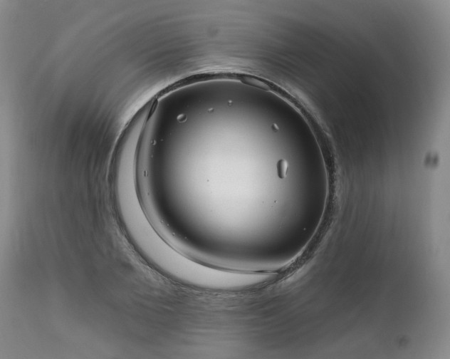 X0000112460885200908241256