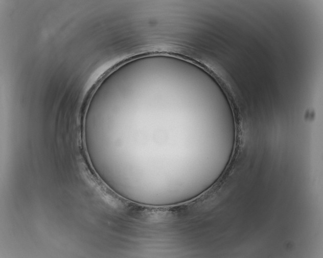 X0000112460886200908241256