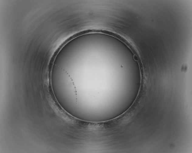 X0000112460887200908241256