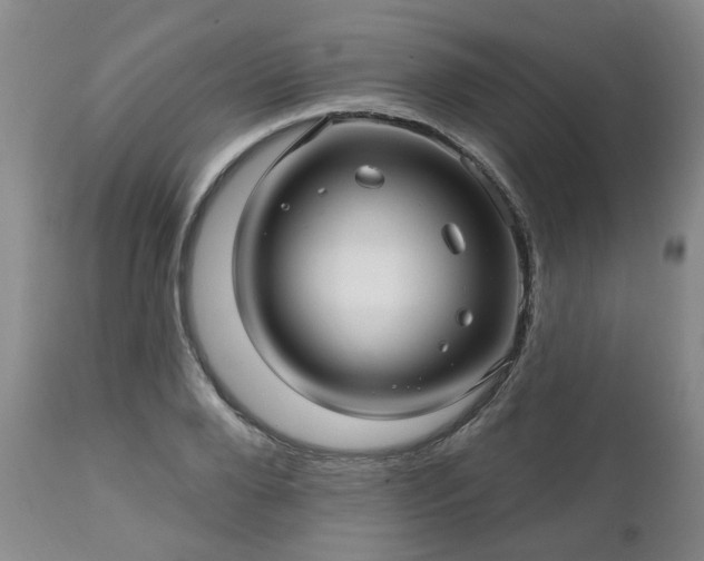 X0000112460888200908241256