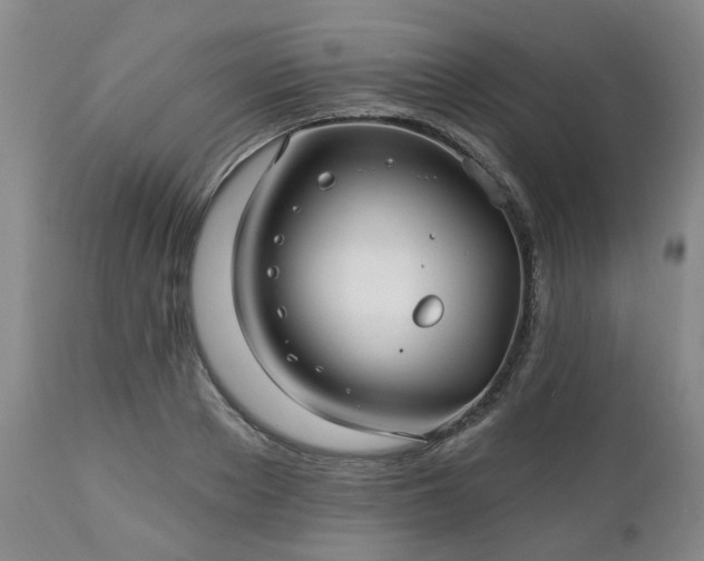 X0000112460889200908241256